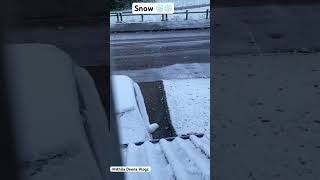 First snow of the year 2024❄️❄️💦snow snowflakes snowfall uk shorts shortvideo snowlover [upl. by Ahsakal]