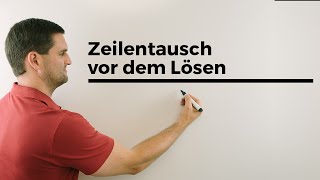 Zeilentausch vor dem Lösen eines Gleichungssystems GaußAlgorithmus Mathe by Daniel Jung [upl. by Aratak]