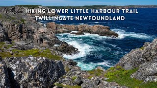 Twillingate Newfoundland Hiking Lower Little Harbour Trail [upl. by Gnuy]