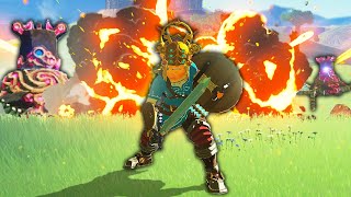 The Latest RANDOMIZER is CRAZY in Breath of The Wild [upl. by Asiram347]