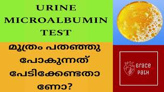 Urine Microalbumin Test  Urine Albumin Creatinine Ratio  uACR Malayalam [upl. by Daggna649]