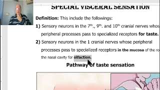 Anatomy of CNS Module in Arabic 2024 Taste pathway by Dr Wahdan [upl. by Ettelocin577]