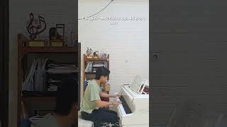 Chopin Op 48 No 1  Part 1 relaxing music cover support [upl. by Motteo]