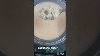 Navratre Special Sabudana Kheer 🤩🙌shravanrecipe sabudana sabudanarecipe trendingshorts [upl. by Backler]