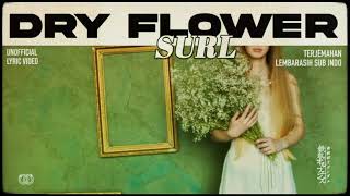 SURL – Dry Flower  LYRICS terjemahan Indonesia [upl. by Nyliret317]