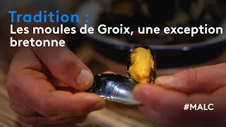 Tradition  les moules de Groix une exception bretonne [upl. by Clarey]