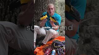 Your pick 👉 La Sportiva Solution VS La Sportiva Solution Comp climbing [upl. by Ahtrim809]