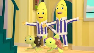 The Bananas Adopt Turtles  Bananas in Pyjamas Season 1  Full Episodes  Bananas in Pyjamas [upl. by Divod563]