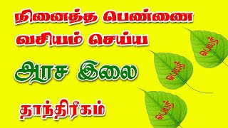 நினைத்த பெண்ணை வசியம் செய்ய அரச இலை தாந்திரீகம்  பெண் வசியம்  Spiritual World Tamil  Vasiyam [upl. by Yrreg]