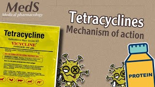 Proteins synthesis inhibitors  Tetracyclines  mechanism of action  MedS [upl. by Treb]