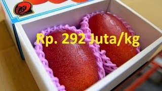 7 buah termahal di dunia ada yang mencapai Rp 292Jutakg [upl. by Eustashe]