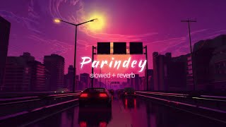 Parindey slowed and reverb  Sumit Goswami Itzrough [upl. by Neelat]