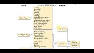 Disciplines that contribute to the OB field [upl. by Yelda]