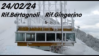 RM  25022024 RifBertagnoli Rif Gingerino INVERNALE [upl. by Eimmat]