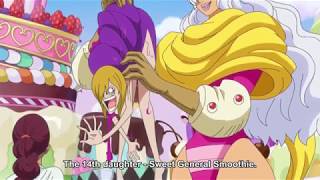 One Piece Episode 831  Sanji Meets With Pudding Before Wedding Start [upl. by Dlorej]