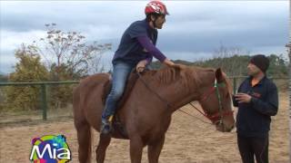 Cavallo i primi passi in sella [upl. by Gelasius]