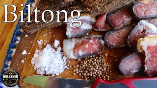 How to make Biltong recipe  South African cured amp dried beef  Traditional Biltong recipe [upl. by Lyndsay]