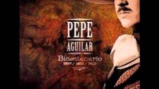 Pepe Aguilar  quotMEXICO LINDO Y QUERIDOquot [upl. by Suivat]