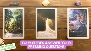 Your Guides Answer Your Pressing Question  Timeless Reading [upl. by Aluino]