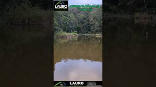 FAZENDA CLARÃO DA LUA  CATUJI MG  VALOR R80000000 [upl. by Richy257]