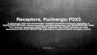 Medical vocabulary What does Receptors Purinergic P2X3 mean [upl. by Anaihk]