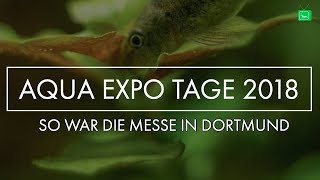 AQUA EXPO TAGE 2018  Messe Bericht  GarnelenTv [upl. by Husch928]