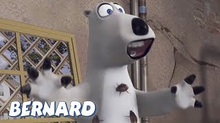 Bernard Bear  The Fumigator AND MORE  30 min Compilation  Cartoons for Children [upl. by Krause]