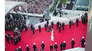 Cannes Film Festival 2024  77th Edition [upl. by Esorrebma]