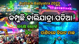 Balijatra  Cuttack Balijatra 2023  Balijatra Cuttack [upl. by Nylirak]