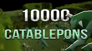 Loot From 10000 Catablepons [upl. by Sami462]