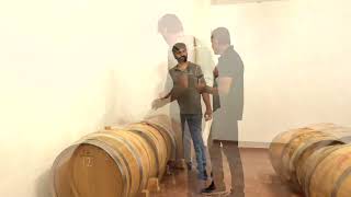 Cantine Paradiso  Barrel Tasting Cerignola Puglia Italy  September 22 2023 [upl. by Sarene72]