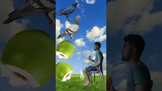 Spinning coconut to kawa kabutar totakinemasterediting funny vfxpro [upl. by Liggitt]