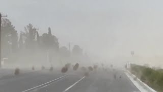 Incredible footage sees tumbleweeds overtake Utah [upl. by Leseil186]