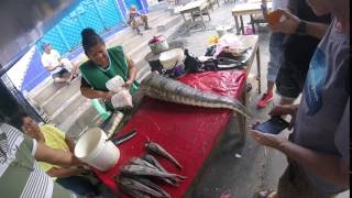 🔵 Alligator Meat for sale in Belen Market River Amazon Iquitos Peru [upl. by Kassaraba485]