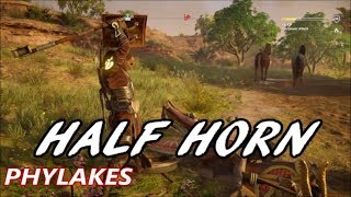 Assassins Creed Origins  Phylake Fight  Half Horn Legendary Light Bow [upl. by Heppman]