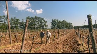 Orvieto Italy FamilyRun Winery  Rick Steves’ Europe Travel Guide  Travel Bite [upl. by Post997]