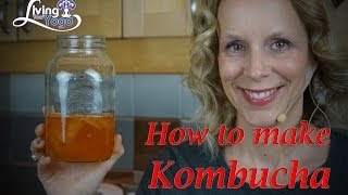 How to make and grow continuous Kombucha [upl. by Eniarol705]