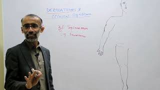 Dermatomes and Clinical Significance II Dermatomes of Upper amp Lower Limbs II Dr Khalil [upl. by Sisto]