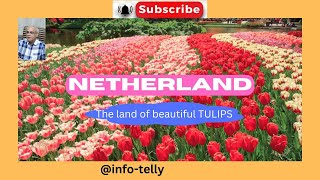 Netherlands  The land of beautiful TULIPS [upl. by Eimile]