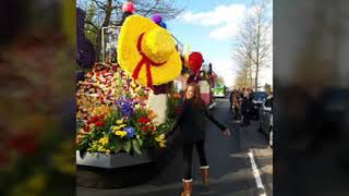 Bloemencorso 2019 keukenhof2019 Lisse [upl. by Ahseeyt]