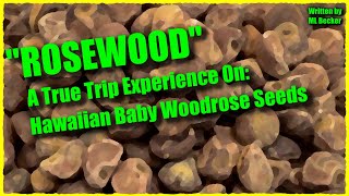 quotROSEWOODquot A True Trip Experience on Hawaiian Baby Woodrose Seeds [upl. by Ahseyt]