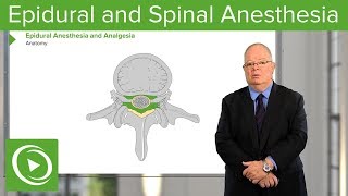 Neuraxial Blocks Epidural and Spinal Anesthesia amp Analgesia – Anesthesia  Lecturio [upl. by Dnumde609]