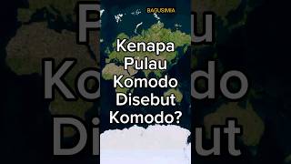 Kenapa Pulau Komodo Disebut quotKomodoquot [upl. by Aihpled569]