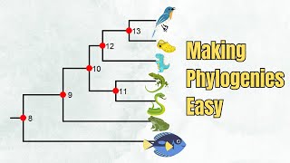 How To Read A Phylogenetic Tree  Introduction  5 Exercises [upl. by Arzed382]