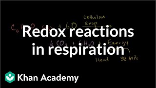 Oxidation and reduction in cellular respiration  Biology  Khan Academy [upl. by Callas]