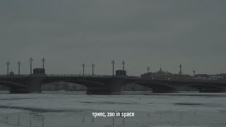 Tripc zoo in space  30 сниппет 6 марта [upl. by Charmine]