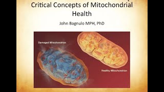 Critical Concepts in the Nutritional Support of Mitochondria [upl. by Esorylime]