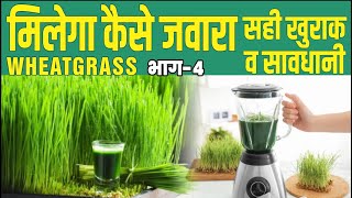 How Wheatgrass Can Boost Your Health The Surprising Benefits Nutrition Part4 सही खुराक व सावधानी [upl. by Aeniah165]