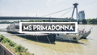 MS PRIMADONNA  Donaukreuzfahrt Tag 18  Vlog 132 [upl. by Sato]