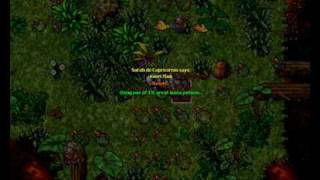 Tibia Elemental Sphere Quest by Surah [upl. by Truelove]